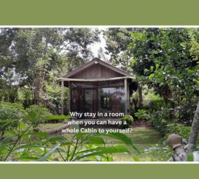 Private Cabin and private Kitchen - Experience serenity, and beautiful nature